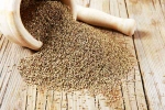 Carom Seeds for health, Ajwain health advantages, benefits of adding carom seeds to your diet, Cold