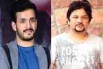Akhil Akkineni new project, AK Entertainments, akhil akkineni and surendar reddy joins hands, Coronavirus lockdown