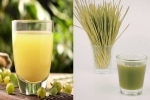 Amla Juice Vs Wheatgrass Juice breaking, Amla Juice Vs Wheatgrass Juice, amla juice vs wheatgrass juice for fatty liver, Success