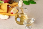 Apple Cider Vinegar news, Apple Cider Vinegar benefits, health benefits of apple cider vinegar, Tips