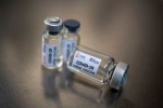 vaccine, vaccine, bharat biotech informs steady progress in covid 19 vaccine development, Rabies