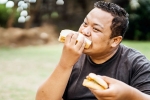 Bread, Bread for weightloss, will bread help in weightloss, Weightloss