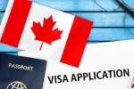 Canada's study visa approvals for students of India, Canada's study visa approvals for Indians, canada s study visa approvals for indian students to drop by 50 in 2024, Indian origin