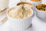 sattu porridge, north Indian dish, 4 amazing health benefits of consuming sattu a humble north indian dish, Parantha