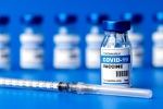 Covid vaccine protection news, Coronavirus booster dose, protection of covid vaccine wanes within six months, Coronavirus booster dose