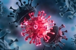 USA Coronavirus, USA Coronavirus updates, delta variant makes usa tensed again, Pfizer