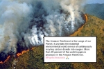 Amazon rainforest fires, amazon, in pictures devastating fires in amazon rainforest visible from space, Forest fires