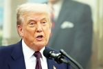 Sergio Gor updates, Sergio Gor latest, donald trump names close political aide as india ambassador, Elon musk