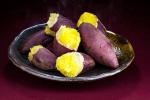 Sweet Potato for health, Sweet Potato latest news, what happens if you eat sweet potato everyday, Latest news