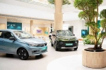 Car Sales September 2024 latest updates, Car Sales September 2024 new updates, electric car and suv sales reach lowest in september 2024, Mg windsor