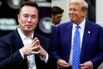 Elon Musk, Elon Musk and Donald Trump latest, elon musk s big bet on donald trump, Nelson