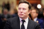 Elon Musk Epstein Files news, Elon Musk Epstein Files new updates, elon musk named in new epstein files, Elon musk