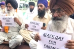 produce, opposition parties, why farmers and politicians are against modi s farm laws, Commission agents