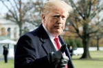 nation, Trump presidency, former u s senators warn of constitutional crisis under trump, Playboy