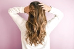 hair pack for monsoon, hair color in monsoon, 5 fruitful tips to say goodbye to your hair problems during monsoon, Hair masks