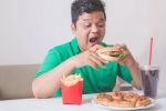 India Urgent War on Junk Food, Urgent War on Junk Food, why india needs an urgent war on junk food, Junk food