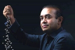 central bureau of investigation, CBI Probe for Financial Irregularities, over 20 indians living abroad facing cbi probe for financial irregularities, Nirav modi
