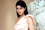 Jacqueline Fernandez new updates, Jacqueline Fernandez accused, jacqueline fernandez files complaint against sukesh chandrashekhar, Delhi police