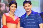 Pooja Hegde and Mahesh Babu, Pooja Hegde next film, mahesh babu all set to romance pooja hegde again, Maharshi