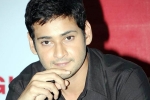 Mahesh Babu, Trivikram Srinivas, mahesh reveals his next projects, Newyear