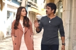 Manmadhudu 2 movie story, Manmadhudu 2 telugu movie review, manmadhudu 2 movie review rating story cast and crew, Playboy