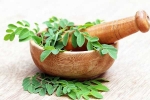 Moringa for health, Moringa in diet, is moringa a must have in your diet, Moringa