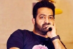 NTR upcoming movies, NTR in Telugu, ntr turning producer, Kalyanram