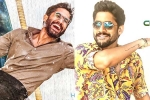 Naga Chaitanya birthday looks, Naga Chaitanya, naga chaitanya gearing up with two films, Sushanth