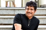 Nagarjuna, Naga Chaitanya, nagarjuna s 100th film will be a multi starrer, Nagarjuna 100th film