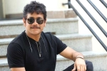Nagarjuna next movie, Nagarjuna Akhil movie, nagarjuna s 100th film locked, Nagarjuna 100th film