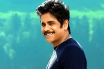 Nagarjuna and Rashmika Mandanna cameos, Nagarjuna and Rashmika Mandanna, nagarjuna s surprise in dhanush s film, Dhanush
