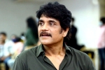 Nagarjuna next movie, Sreenivasaa Chitturi, nagarjuna in a periodic drama, Mohan raja