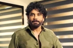Nagarjuna Personal Rights breaking, Nagarjuna Personal Rights breaking, delhi high on nagarjuna s personal rights, Amitabh bachchan