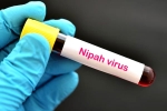 Nipah Virus - Kerala, suspected Nipah Virus, nipah virus is back again two deaths registered, Nipah virus