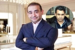 Nirav Modi's Brother, Nirav Modi's Brother, nirav modi s brother arrested in usa, Director
