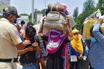 vikas khanna, labourers, plight of migrant workers baby shakes to wake up deceased mother, Todd
