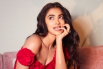 Pooja Hegde next film, Pooja Hegde next biggie, pooja hegde in talks for a biggie, Ssmb28