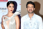 UV Creations, Radha Krishna Kumar, pooja hegde all set to romance prabhas, Saakshyam