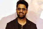 Prabhas Vintage King news, Prabhas, interesting title for prabhas next, Maruthi