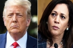 Amy Tripp news, Kamala Harris, astrologer predictions about the new us president, Us presidential elections 2024