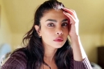 Don't Look For Virgin Wife comment, Priyanka Chopra latest, priyanka chopra breaks silence on don t look for virgin wife comment, Woman