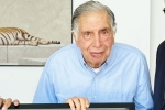 Ratan Tata new breaking, Ratan Tata properties, indian legend ratan tata is no more, Dogs