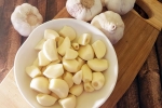 Raw Garlic and Blood Pressure, Raw Garlic and Blood Pressure news, does eating raw garlic help with high blood pressure, High blood pressure Raw Garlic and Blood Pressure, Raw Garlic and Blood Pressure news, does eating raw garlic help with high blood pressure, High blood pressure