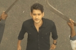 Anil Ravipudi, Sarileru Neekevvaru budget, mahesh babu s sarileru neekevvaru trailer review, Sarileru neekevvaru trailer