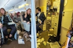 Singapore Airlines accident, Singapore Airlines, one dead and 30 injured in singapore airlines turbulence horror, Singapore airlines