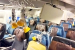 Singapore Airlines breaking, Singapore Airlines turbulence horror accident, singapore airlines statement after turbulence horror, Singapore airlines