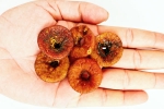 Soaked Anjeer health benefits, Soaked Anjeer health benefits, can you take soaked anjeer every day, Nutmeg