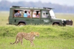 South African Safari Trip total video, South African Safari Trip list, how to plan your south african safari trip, Clothing