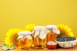 Sunflower Oil benefits, Sunflower Oil new updates, long term effects of consuming sunflower oil on heart health, Us experts