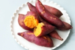 Sweet Potatoes for advantages, Sweet Potatoes breaking, delicious ways to add sweet potatoes to your diet, Balan Sweet Potatoes for advantages, Sweet Potatoes breaking, delicious ways to add sweet potatoes to your diet, Balan